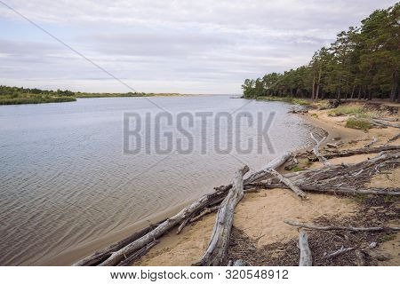 City Carnikava, Latvian Republic. Green Nature In Summer With River Gauja And Waves. Travel Photo. S