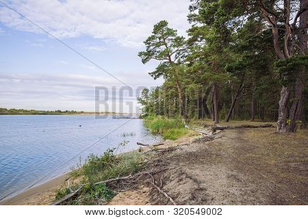 City Carnikava, Latvian Republic. Green Nature In Summer With River Gauja And Waves. Travel Photo. S