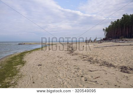 City Carnikava, Latvian Republic. Green Nature In Summer With Baltic Sea And Waves. Travel Photo. Se
