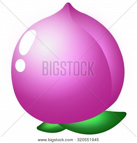 Peach Fruit Icon. Isolated On White Background. Vector Fruit For Market, Recipe Design. Organic Food