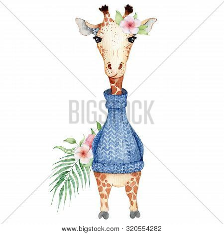 Cute Watercolor Geraffe In Blue  Knitted Sweater With Tropical Flowers Card Hand Drawn Illustration