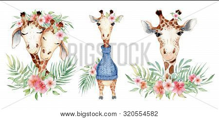 Cute Watercolor Geraffe With Tropical Flowers Card Hand Drawn Illustration