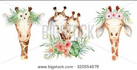 Cute Watercolor Geraffe With Tropical Flowers Card Hand Drawn Illustration