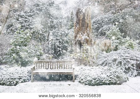 Park Bench In Snow Covered Park Surrounded By Trees And Foliage In Heavy Snow Storm