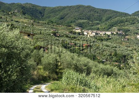 Rural Landscape From Buggiano Castello, Historic Town Near Montecatini, Pistoia, Tuscany, Italy, Wit