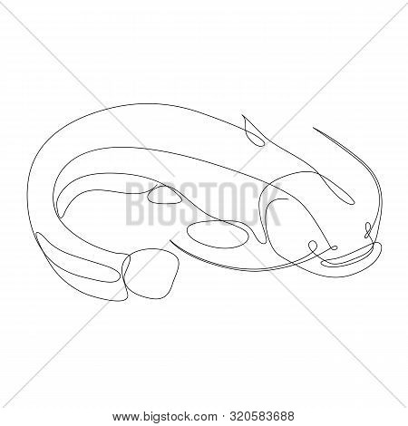 Catfish Illustration Drawn By One Line. Minimalist Style Vector Illustration