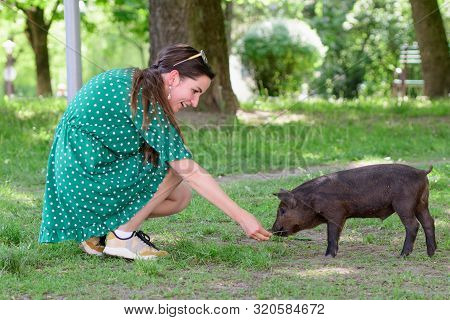 Girl Feeds A Little Pig. In A Green Meadow. The Concept Of Sustainability, Love Of Nature, Respect F