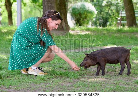 Girl Feeds A Little Pig. In A Green Meadow. The Concept Of Sustainability, Love Of Nature, Respect F