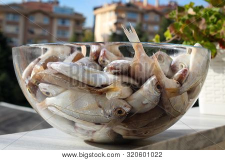 Raw Many Dead Bluefish Deep In A Glass Plate In Outdoor