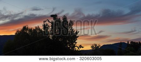 An Evening Sunset Panorama Of Kelowna From Rotary Marsh Looking At The Osprey Nest With Osprey Eatin