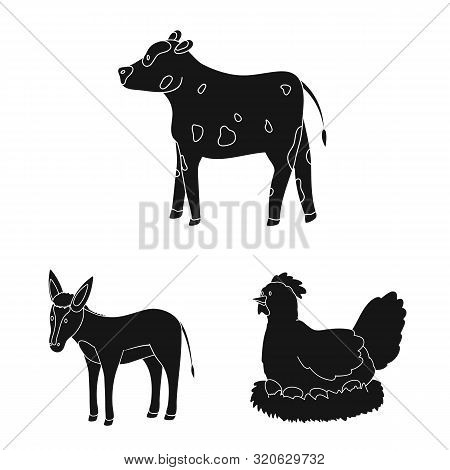 Vector Design Of Ranch And Organic Sign. Set Of Ranch And Food Vector Icon For Stock.