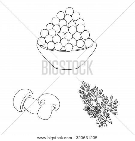 Vector Illustration Of Seasonin And Ingredient Symbol. Collection Of Seasonin And Aroma Stock Symbol