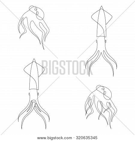 Octopus And Squid Illustration Drawn By One Line. Minimalist Style Vector Illustration Set