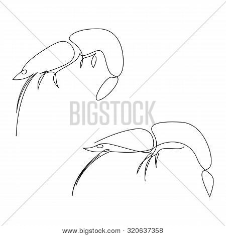 Shrimp Illustration Drawn By One Line. Minimalist Style Vector Illustration