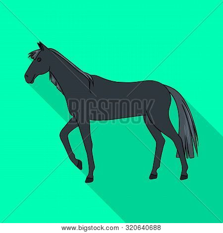 Isolated Object Of Horse And Black Symbol. Collection Of Horse And Horseback Vector Icon For Stock.