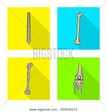 Vector Illustration Of Bone And Skeleton Logo. Set Of Bone And Human Vector Icon For Stock.