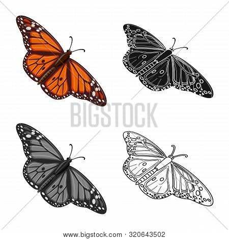 Vector Illustration Of Butterfly And Spring Symbol. Collection Of Butterfly And Decorative Stock Sym