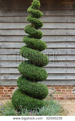 Arbre Topiaire