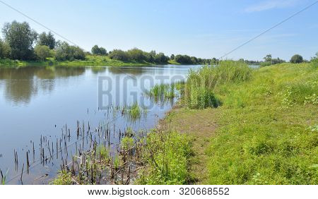 Little River At Sunny Summer Day In Belarusian Polesie.