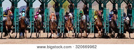 Large Field Of Horses Leaving The Starting Gate At Arizona Downs In Prescott Valley, Arizona On Sept