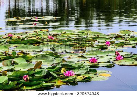 Landscape Of Nanhu Park, Changchun, China - Photographed In Changchun, China