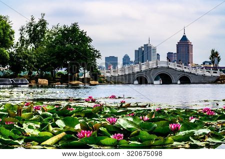 Landscape Of Nanhu Park, Changchun, China - Photographed In Changchun, China