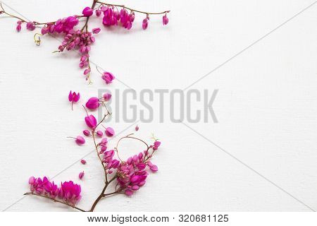 Colorful Pink Little Flowers Antigonon Leptopus Climber Local Flora Arrangement Flat Lay Postcard St