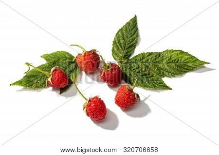 Fresh Raspberry With Leaves Isolated On White Background. Rubus Idaeus