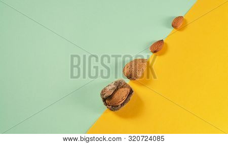 Almonds Evolution From The Fruit To The Shelled Nuts. Shelled Nuts And Almonds In Their Skins On Mod