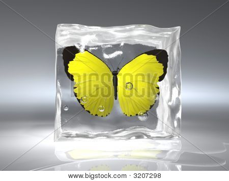 Frozen Butterfly