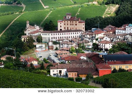 Viñedo de colina cerca de Barolo
