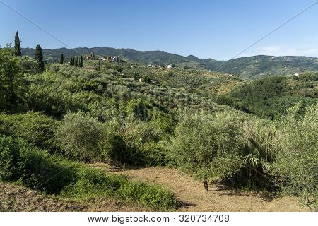 Rural Landscape From Buggiano Castello, Historic Town Near Montecatini, Pistoia, Tuscany, Italy, Wit