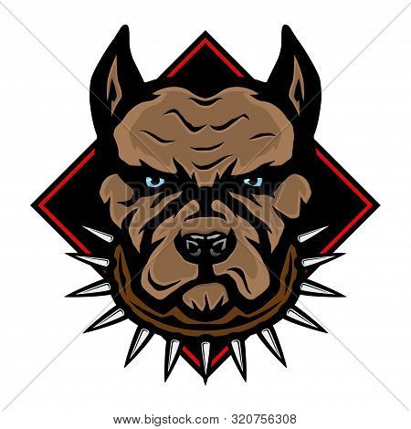 Angry Dog Breed Pit Bull Terrier On A White Background.