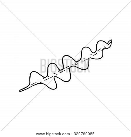 Fishbone Plant Leaf Epiphyllum Anguliger . Line Art Doodle Sketch. Black Outline On White Background