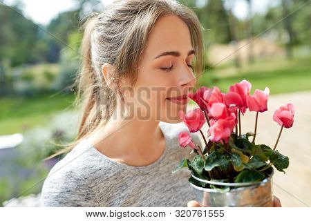 farming, gardening and people concept - happy young woman smelling pink cyclamen flowers in pot at summer garden