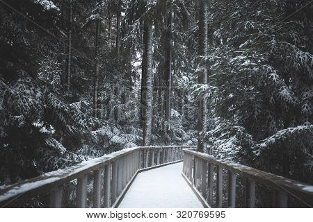 Wooden Suspension Bridge Over The Snowy Forest, Among Snow-covered Trees, In Bad Wildbad, Germany. F