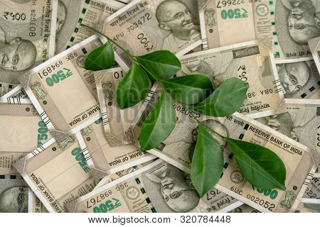 Concept Idea For Business, Money, Financial Growth. Indian Five Hundred Rupee Banknotes With Green L