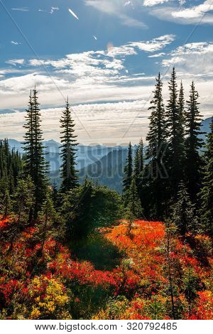 Fall On The Trail Around Naches Peak In Washington
