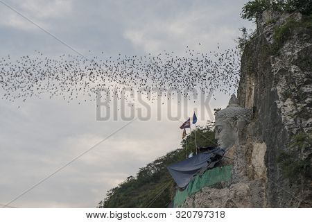 Cambodia Battambang Bath Cave