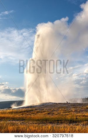 Old Faithful Erupts During Sunset At Yellowstone National Park In Wyoming, Usa. The Famous Geyser Er