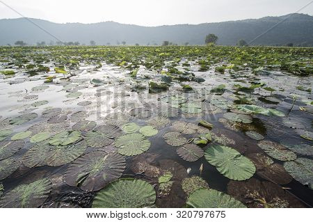 Cambodia Battambang Kamping Pouy Lake