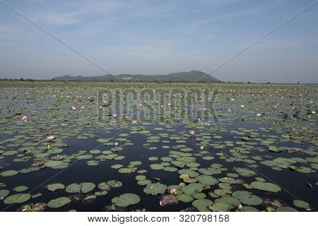 Cambodia Battambang Kamping Pouy Lake