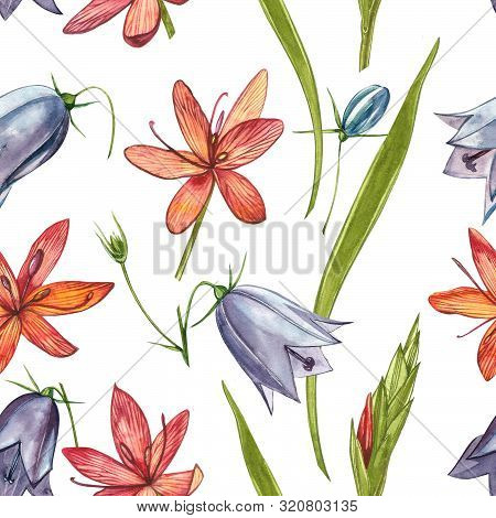 Kafir Lilies Flowers. Seamless Patterns. Collection Of Hand Drawn Flowers And Plants. Botany. Set. V
