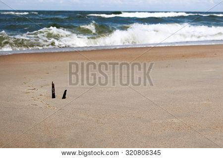 Seashore View On Sea Waves And Sand Beach With Drift Wood And Feather Background