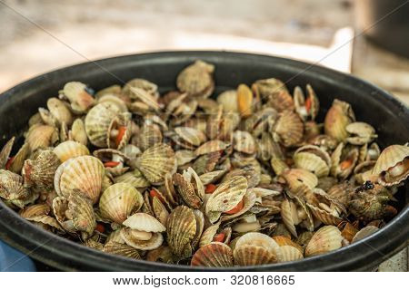 Balabag, Boracay Island, Philippines - March 4, 2019: Closeup Of Black Bucket With Beige And Red Coo