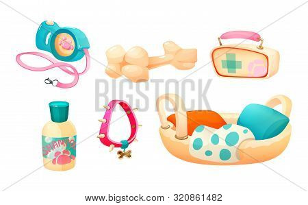 Pet Accessories: Shampoo, Basket, Bone, Leash-collar, First-aid Kit, Dog Colla