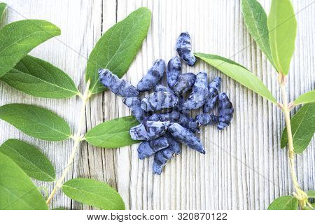 Honeysuckle Berry Or Woodbine With Green Leaves On Light Coloured Wooden Background. Close Up View.