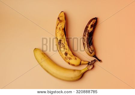 Ugly Fruit Modification Of Three Bananas From Ripe To More Spoiled Brown With Spots Isolated. The Co