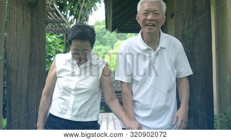 Asian Senior Couple Smiling Happy In Green Tree Background