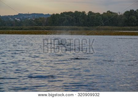 Sunset In The Dnieper River